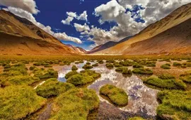 Aperçu fond d'écran Ladakh, Jammu et Cachemire, montagnes, marais, herbe, Inde