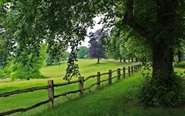 Preview wallpaper Park, tree, fence, grass, nature