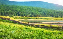 Clôture, herbe, arbres, forêt, étang