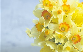 Preview wallpaper Bouquet, daffodils, yellow flowers