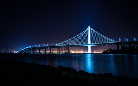 Город, мост, бухта, огни, ночь, Сан-Франциско, США