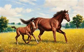 壁紙のプレビュー 馬は歩いて、草、絵