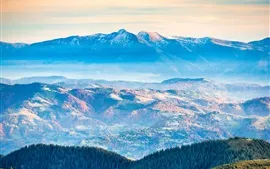 壁紙のプレビュー 山、木、斜面、霧、夜明け