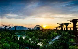 Aperçu fond d'écran Parc, structure, aube, lever de soleil, arbres, pont, rivière, Singapour