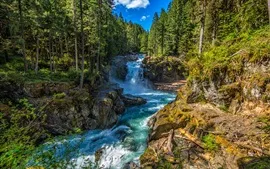 Aperçu fond d'écran Silver Falls State Park, Washington, États-Unis, cours d'eau, arbres, roches