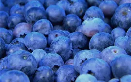 Preview wallpaper Blueberries macro, fruit photography