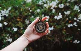 Preview wallpaper Compass in hand