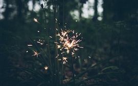 Preview wallpaper Fireworks, sparks, grass, night