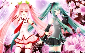 Preview wallpaper Hatsune Miku, blue and pink hair anime girls