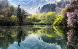 Aperçu fond d'écran Corée du Sud, lac, arbres, Sakura, Printemps