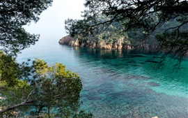Испания, Жирона, море, залив, деревья, природа