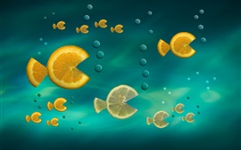 Fatia de laranja, peixe, criativo