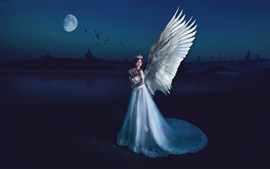 Visualizar papel de parede Bela menina de anjo, asas, noite, lua