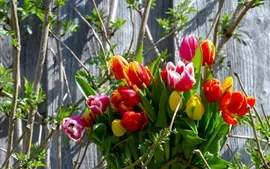 Aperçu fond d'écran Bouquet, tulipes, printemps, arbre