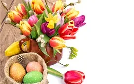 Aperçu fond d'écran Pâques, tasse, fleurs de tulipes colorées, oeufs