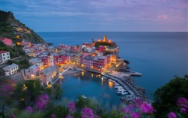 Aperçu fond d'écran Vernazza, Italie, ville, jetée, maisons, lumières, vue de dessus