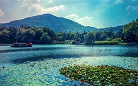 Aperçu fond d'écran Lac, bateau, nénuphar, arbres, parc, Chine