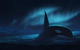 壁紙のプレビュー クジラ、北ライト、夜、海、アート写真