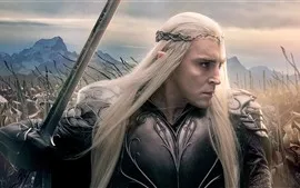 Aperçu fond d'écran Elf, The Hobbit: La bataille des cinq armées