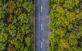 Aperçu fond d'écran Vue de dessus, arbres, route, automne