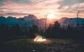 Preview wallpaper Morning, tent, trees, river, fog, sunrise
