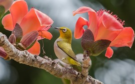 Preview wallpaper One bird and two pink flowers