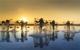 壁紙のプレビュー ベトナム、人々、塩、朝、太陽光線