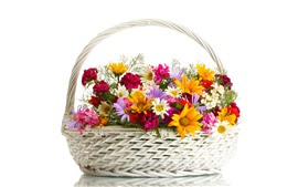 Uma cesta de flores coloridas, fundo branco