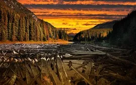 Aperçu fond d'écran Coucher de soleil, arbres, rivière, nuages, bois