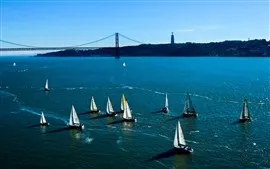 Aperçu fond d'écran Voiliers, mer bleue, pont, USA