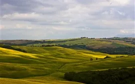 Aperçu fond d'écran Italie, Montalcino, Toscane, champs verts, collines, arbres, campagne