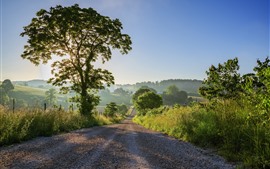 Estrada, árvores, raios de sol, aldeia, manhã