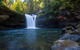 Cascade, oregon, arbres, pierres, automne, USA