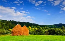 Aperçu fond d'écran Roumanie, foin, arbres, champ, collines, ciel bleu, nuages