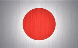 預覽桌布 日本國旗，質地